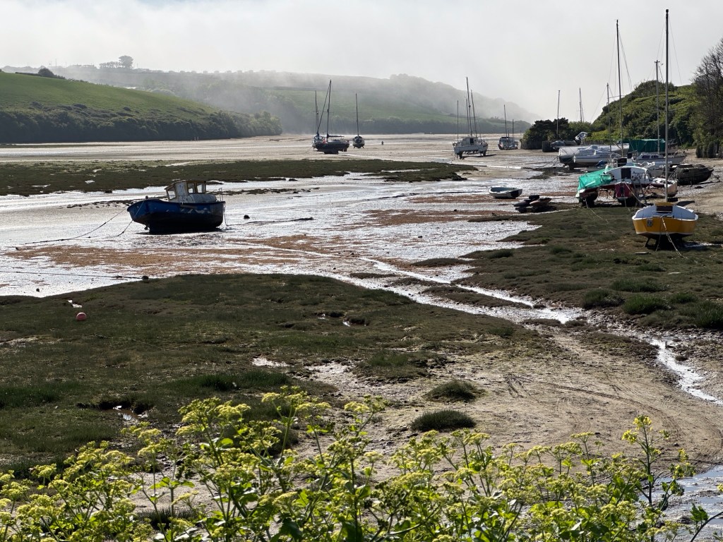 Opkomende mist over de Gannel Rivier, Newquay, Cornwall bij eb