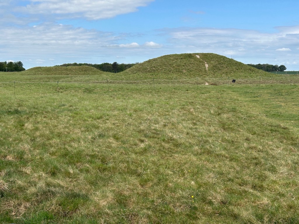 Salisbury Plain met grafheuvels