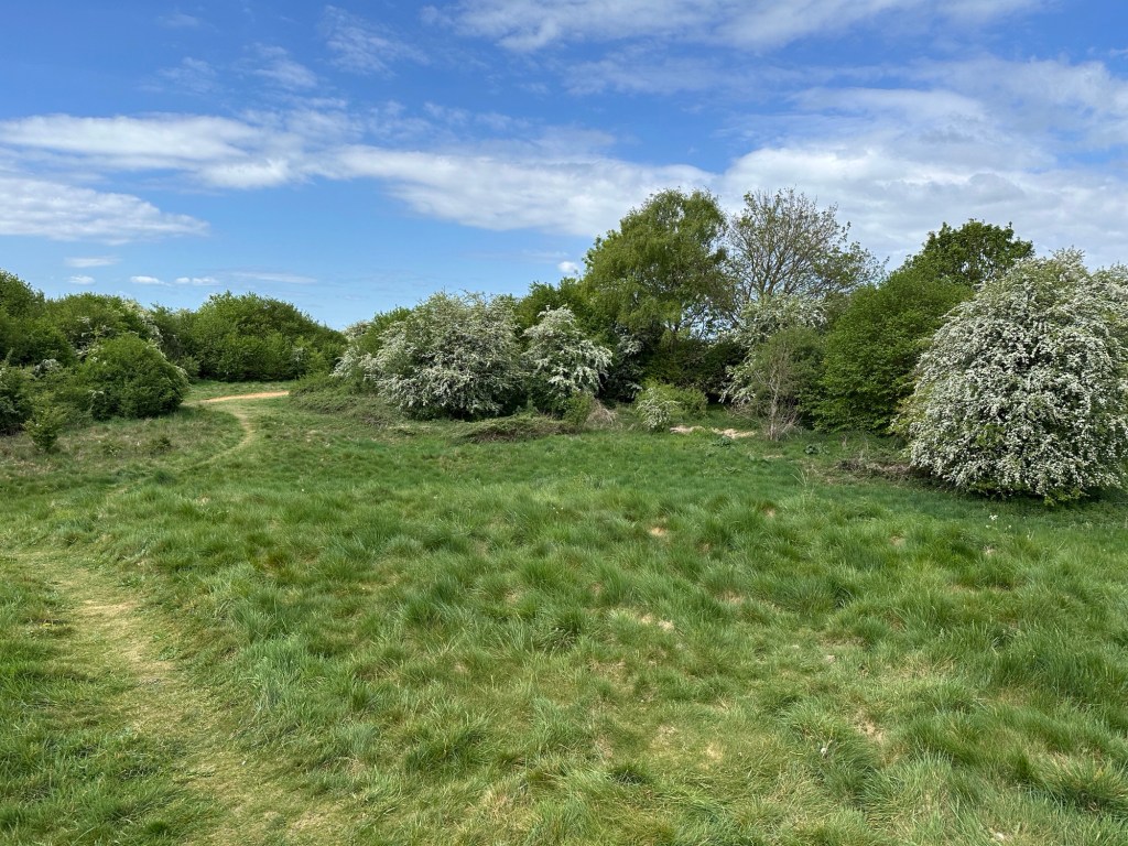 Salisbury Plain dicht bij Stonehenge