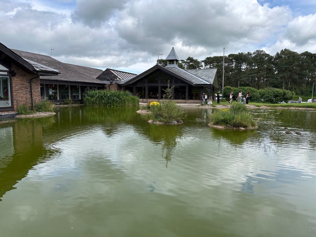 Meertje, weerspiegelende lucht, restaurant. 