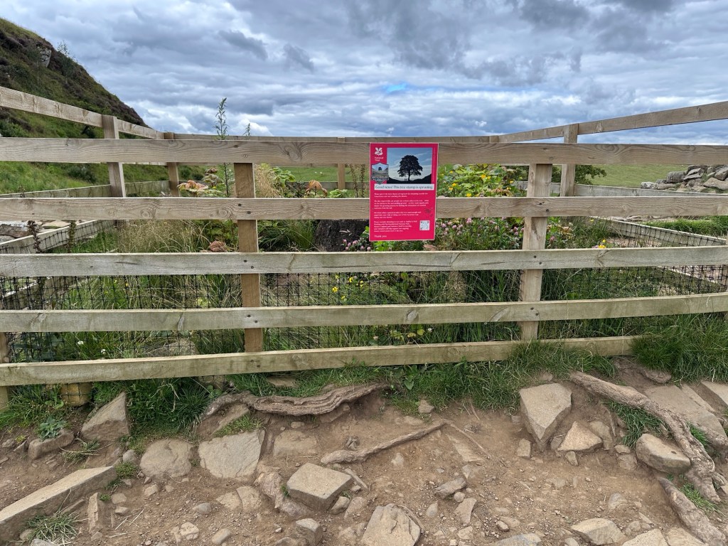 Houten afsluiting rond boomstronk. 