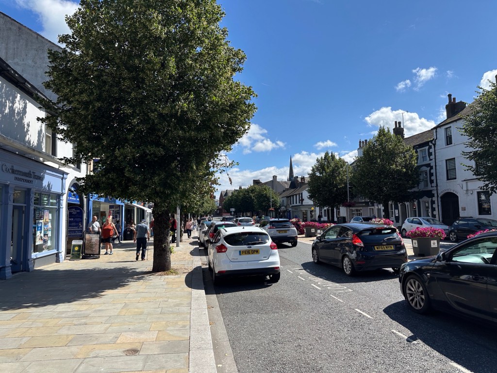 Straatbeeld met bomen en auto’s. 
