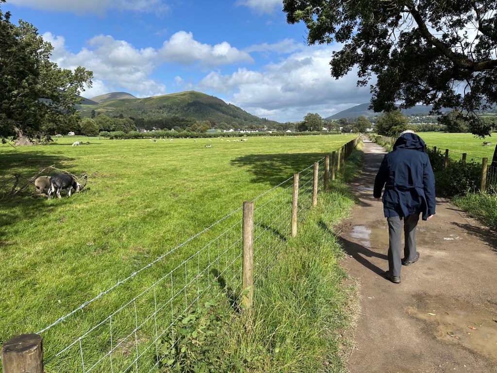 Berg, weide , toeriste op wandelweg rechts.