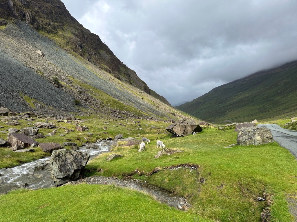 Bergvallei met wolken.