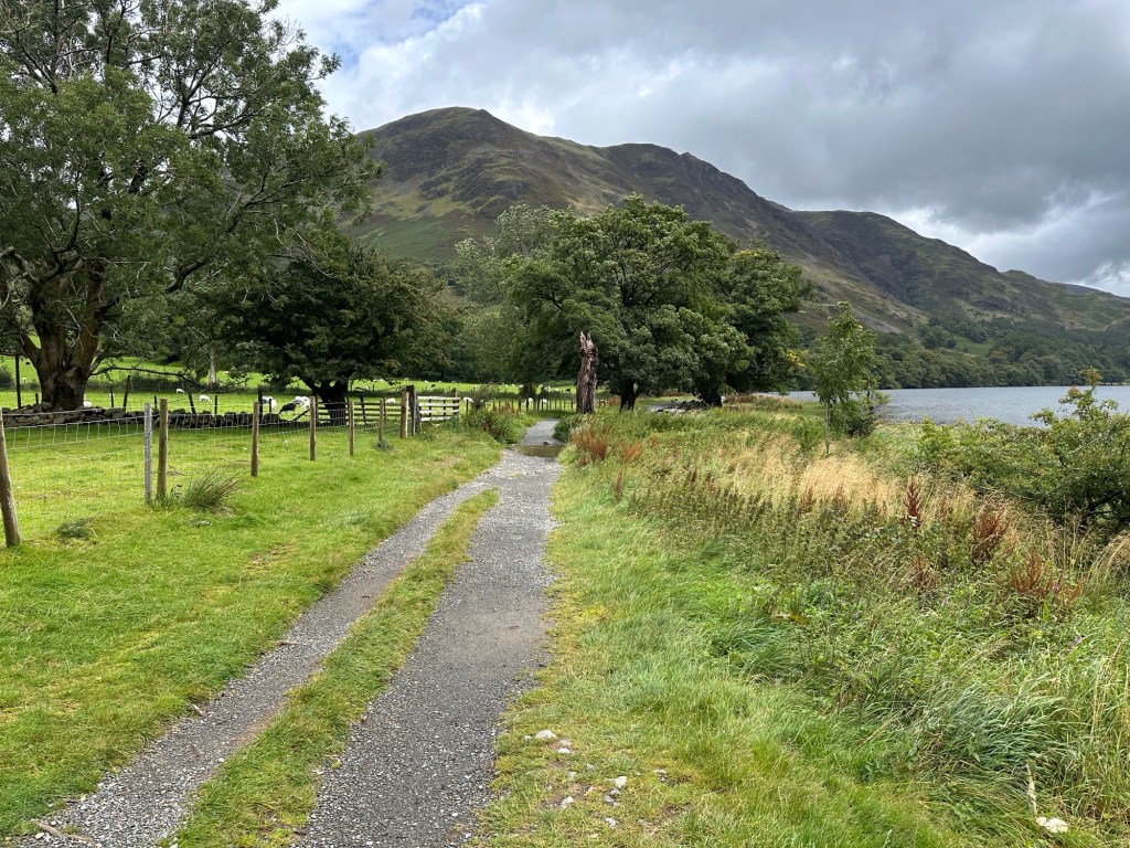 Meertje rechts, wandelwegje links.