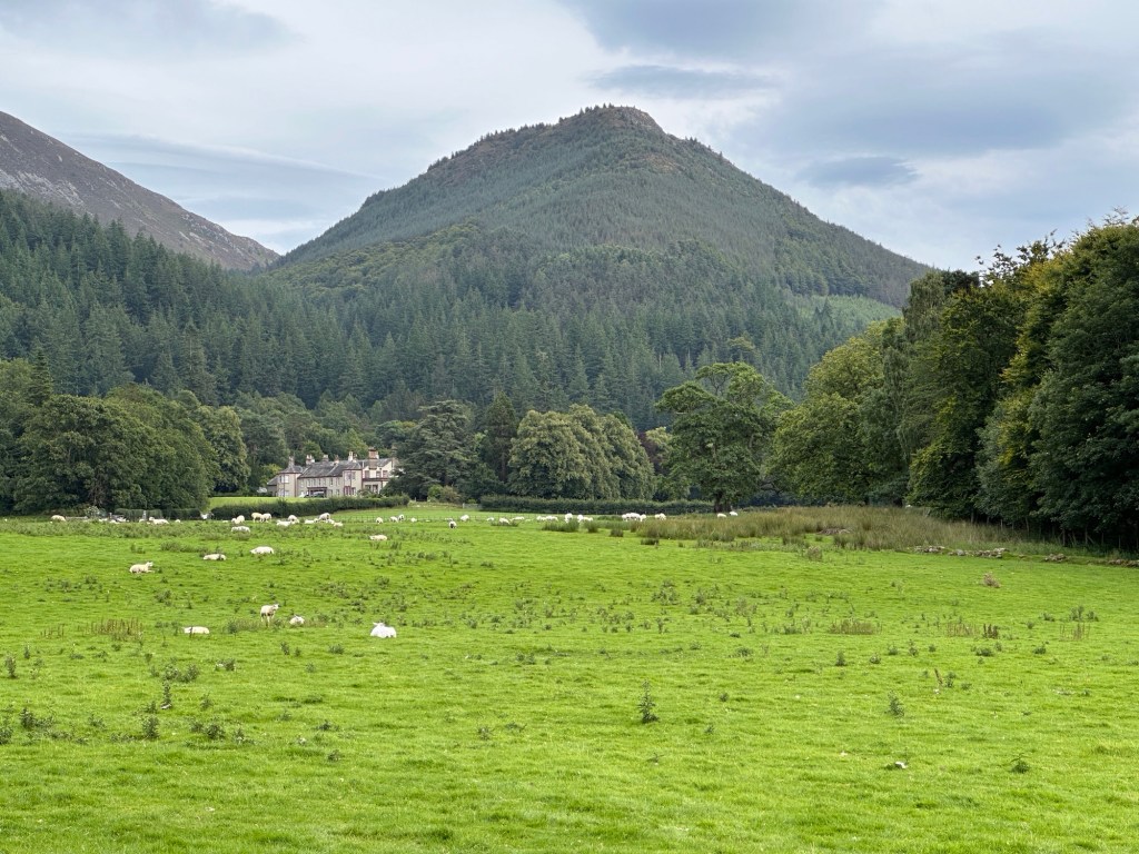 Weiland en berg met Mirehouse in de verte.