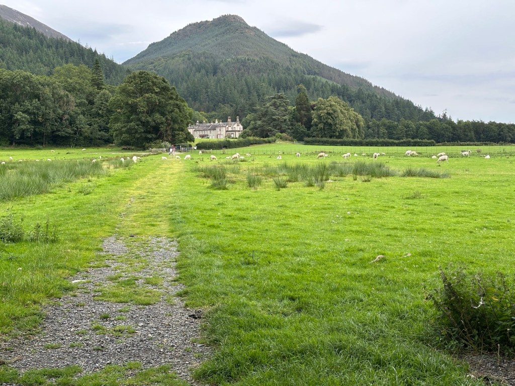 Groene weide met Mirehouse in de verte.