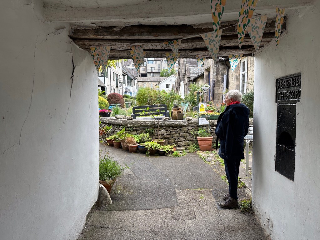 Yard met bloemen en planten op middenpleintje. 