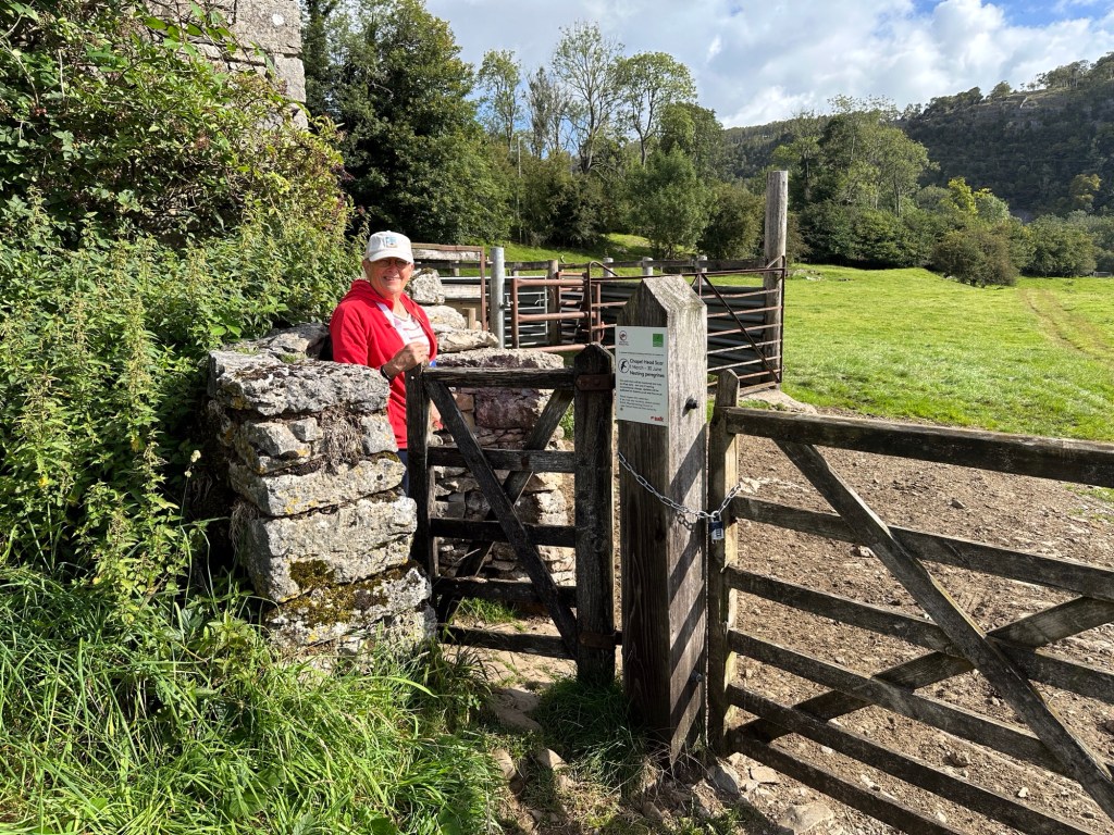 Toeriste aan houten hek in weide. 