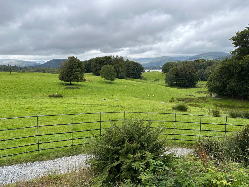 Glooiende weiden met solitaire bomen. 