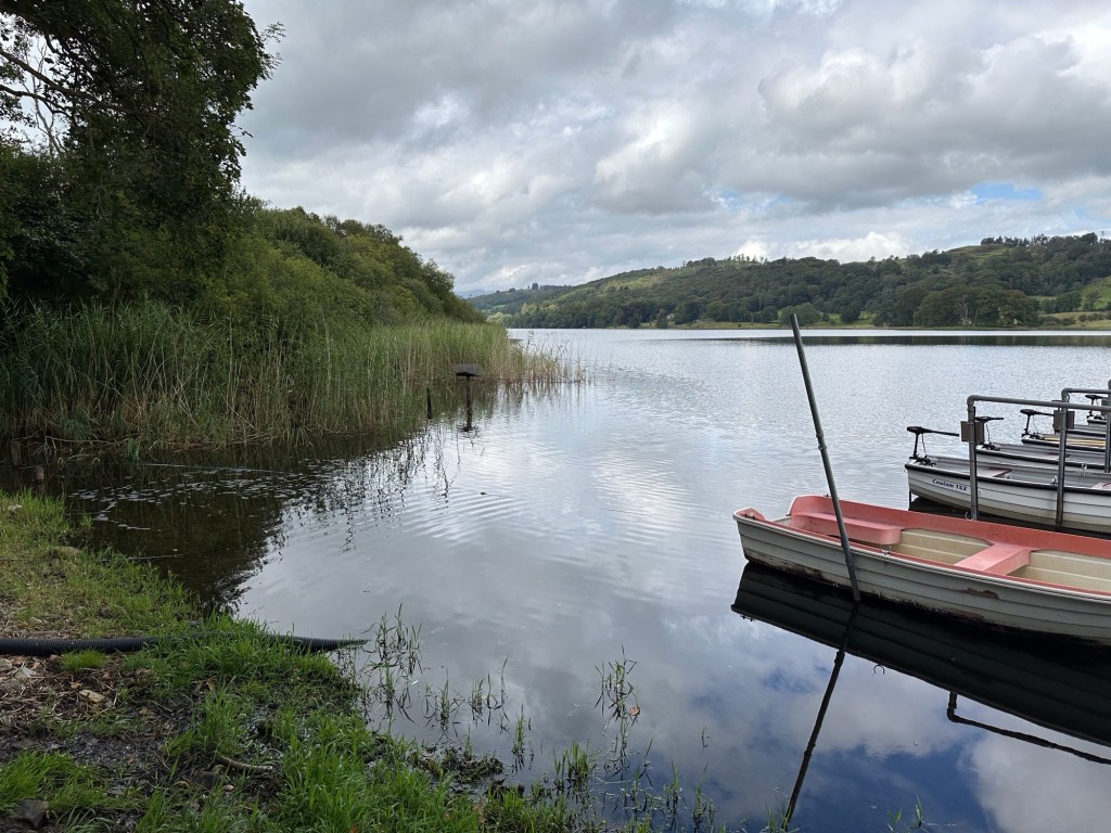 Meer met rietveld en aanlegsteiger. 
