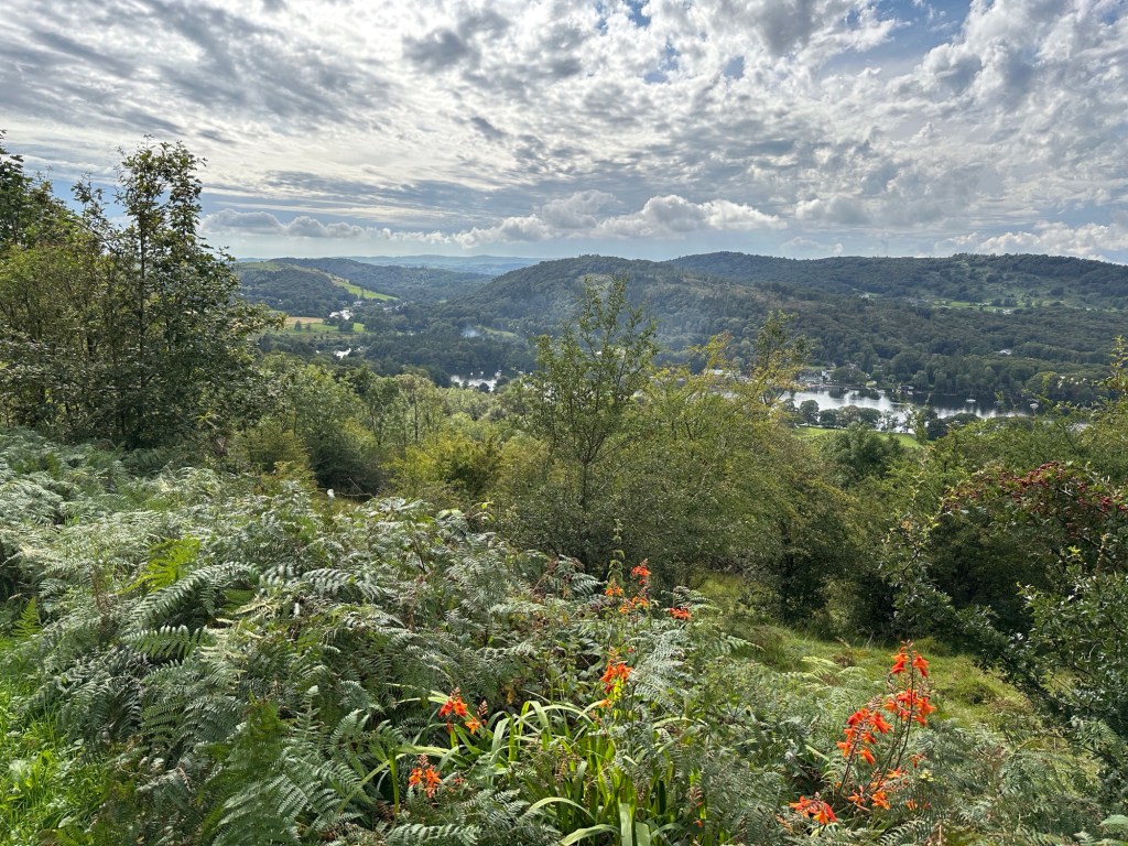 Landschap met varens, oranje bloemen en meer in achtergrond. 