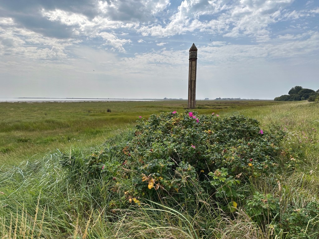 Groene vlakte met hoge, smalle en puntige oude vuurtoren. 