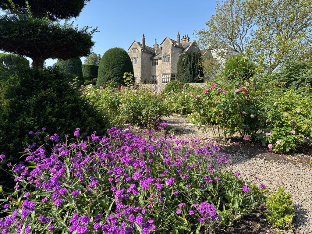 Paarse bloemen in tuin met grijs, statig huis op achergrond. 