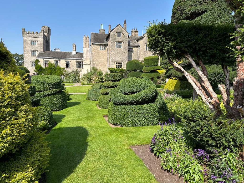 Buxus met kasteel op achtergrond. 