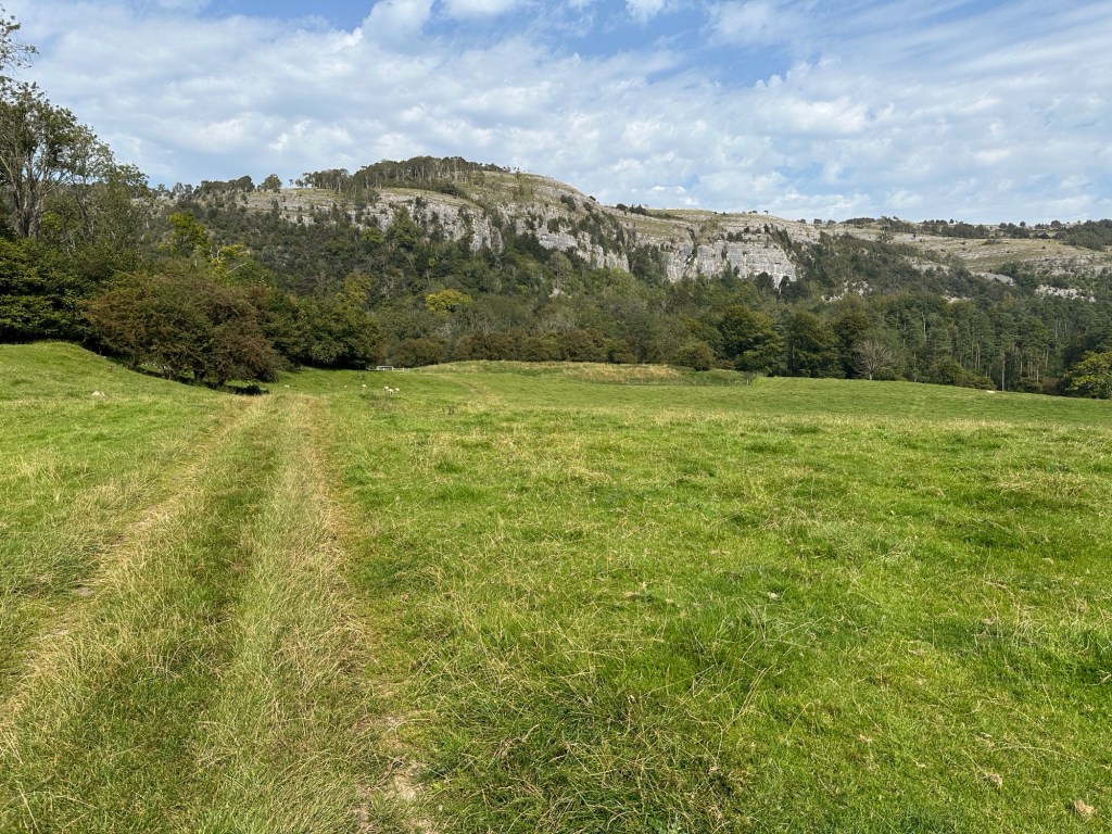 Landschap met weide op voorgrond en bergen achteraan. 