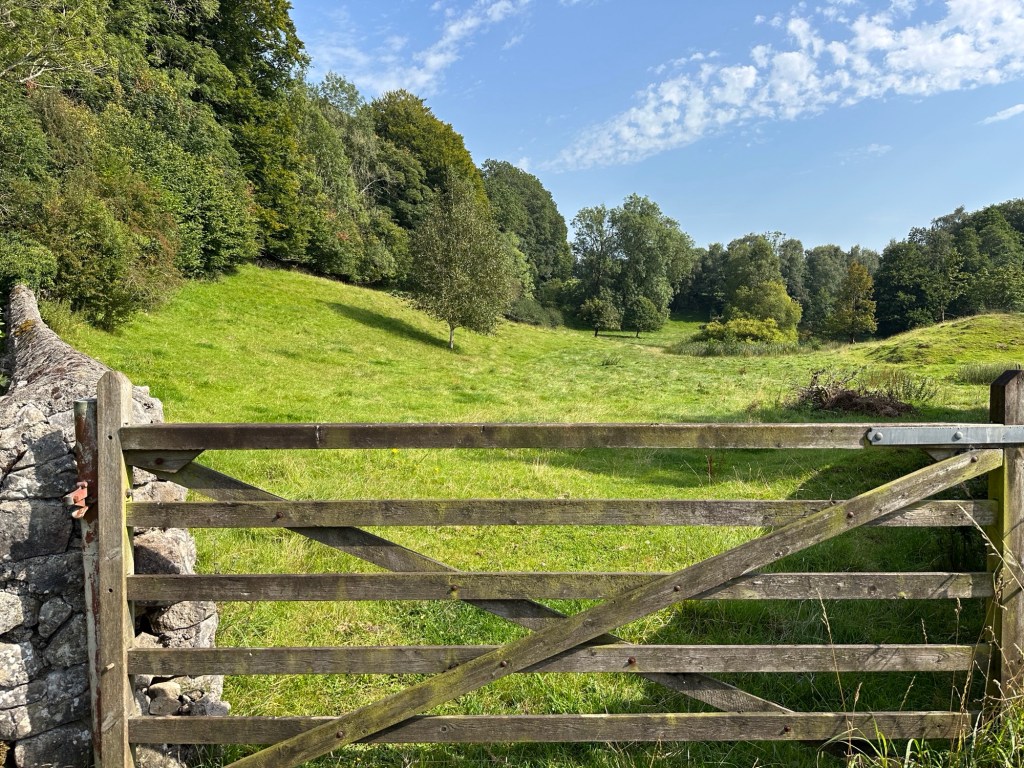 Houten hek voor gloiiende weiden. 
