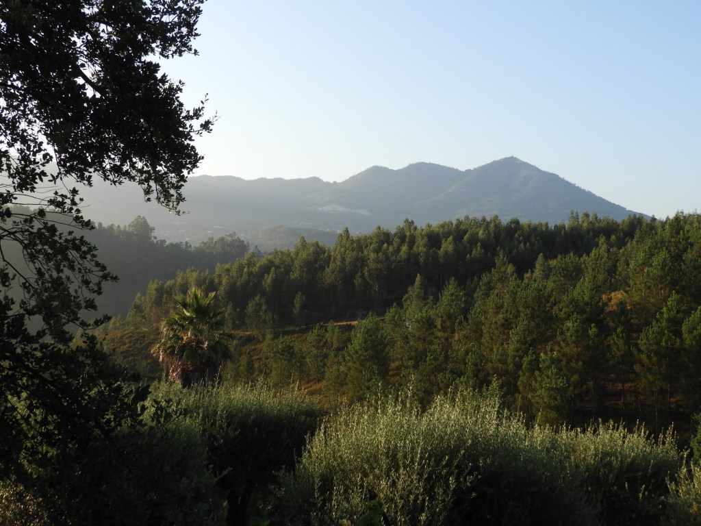Panorama met begroeide bergen in Quinta dos Moinhos.
