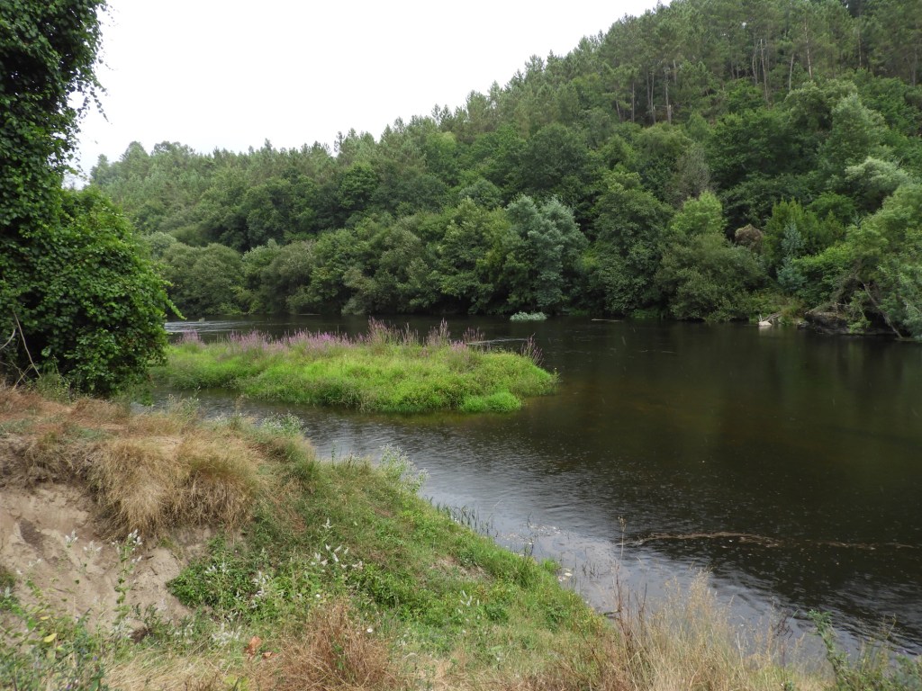 Tamego-rivier met groene oevers.
