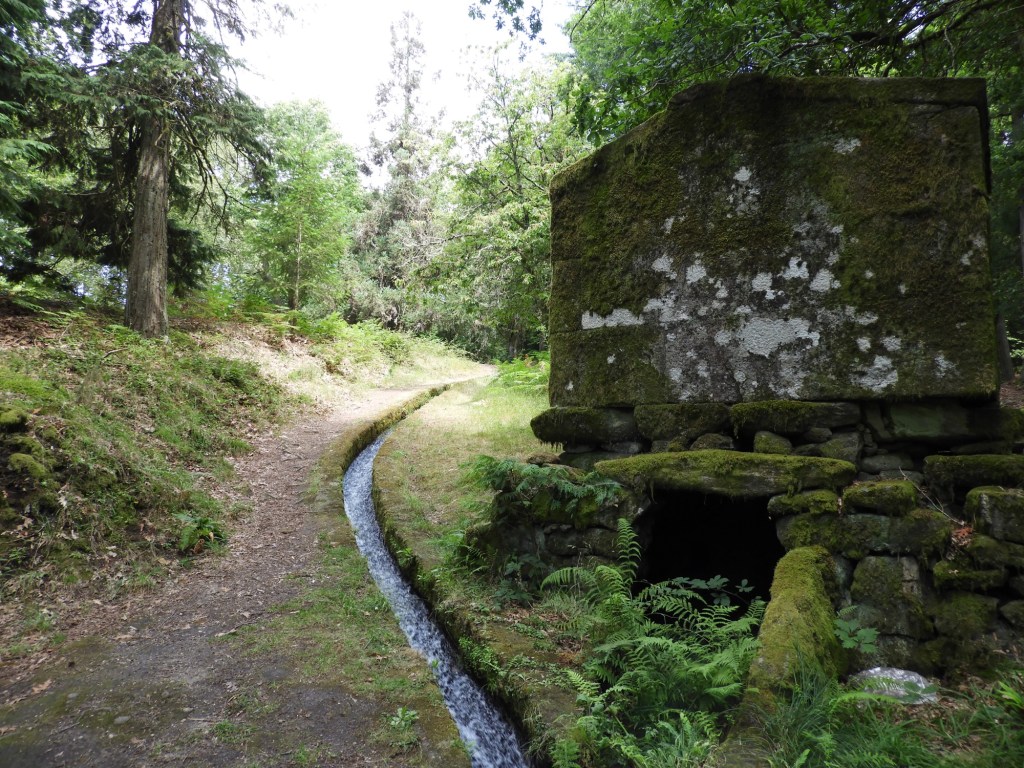 Levada naast oud huis in het bos.