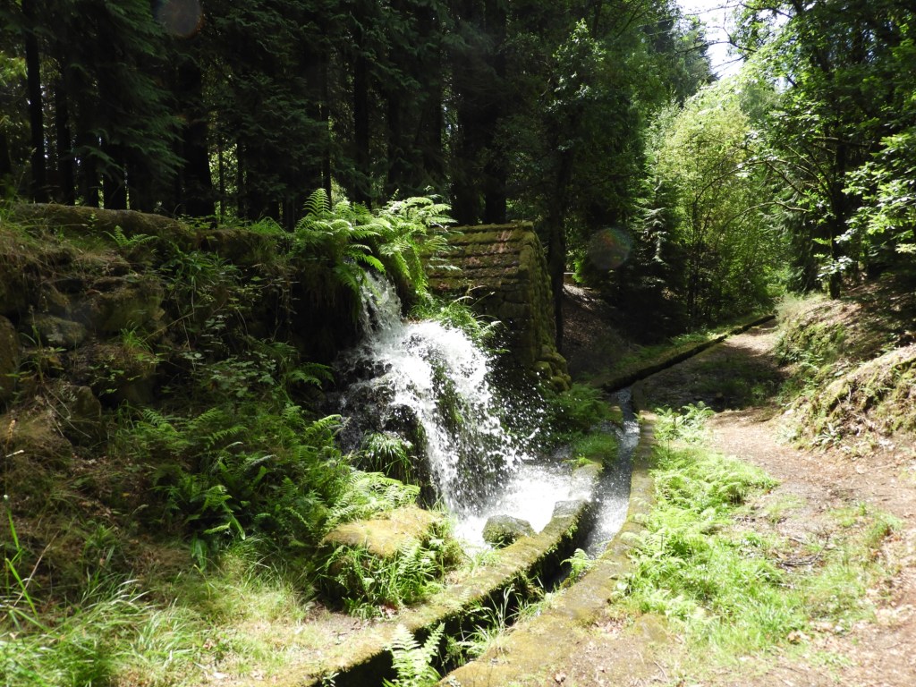 Watervalletje in het bos.