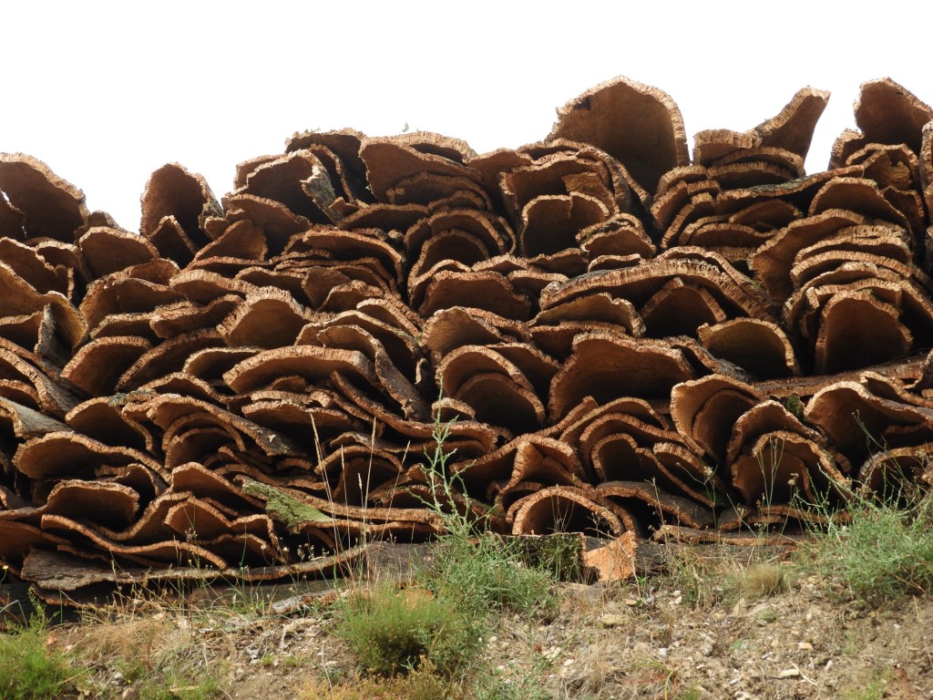 Berg schors van kurk.
