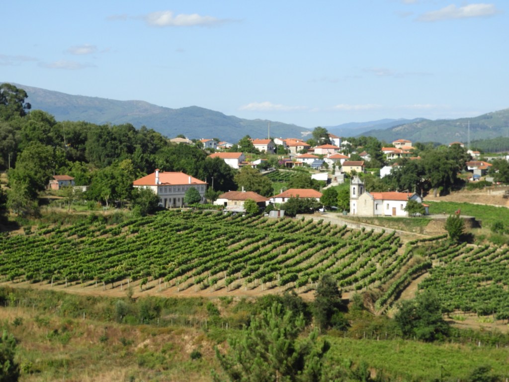 Omgeving van Villa Nune.