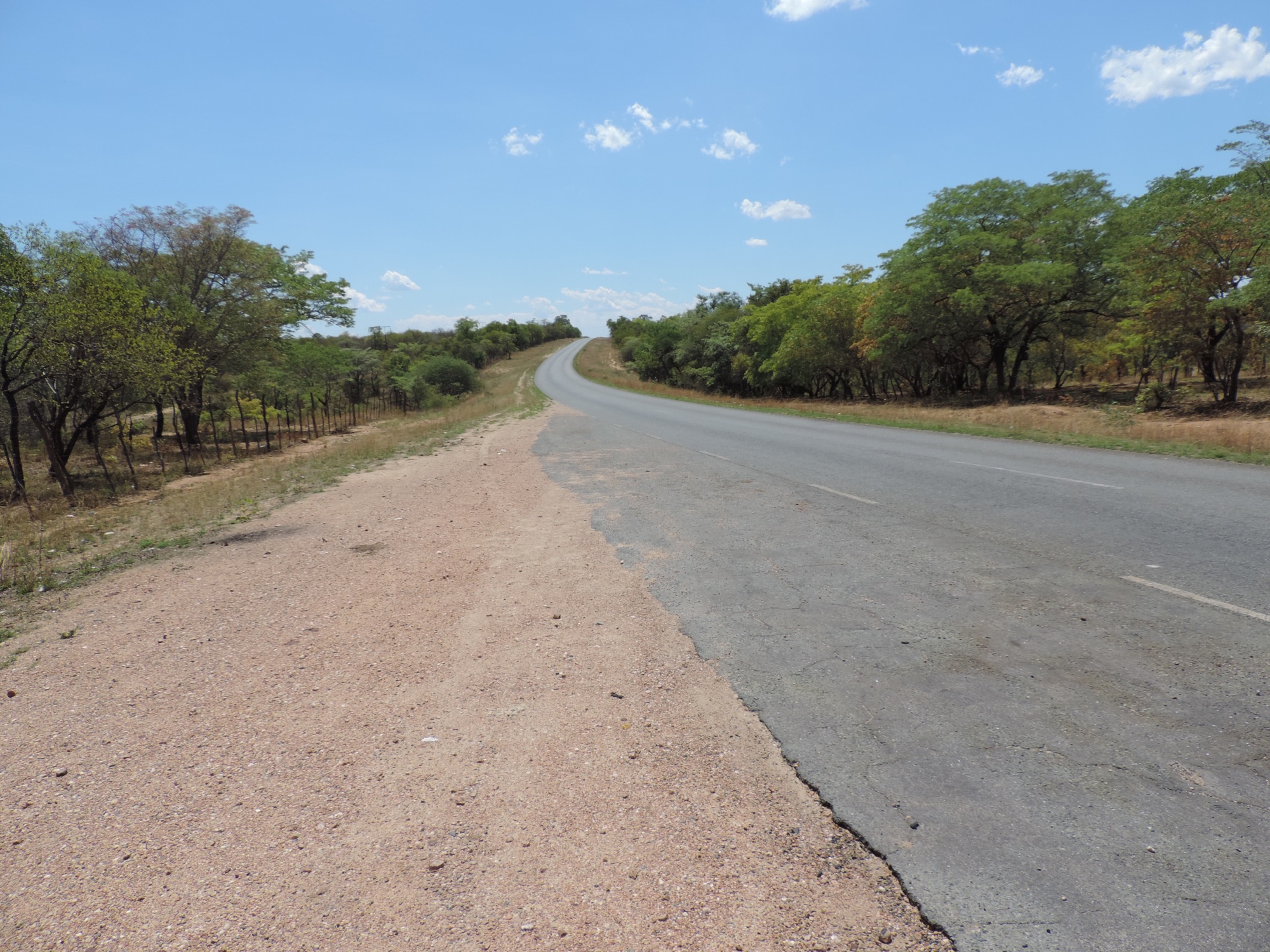 Verlaten kaarsrechte asfaltweg tussen beboste savanne.