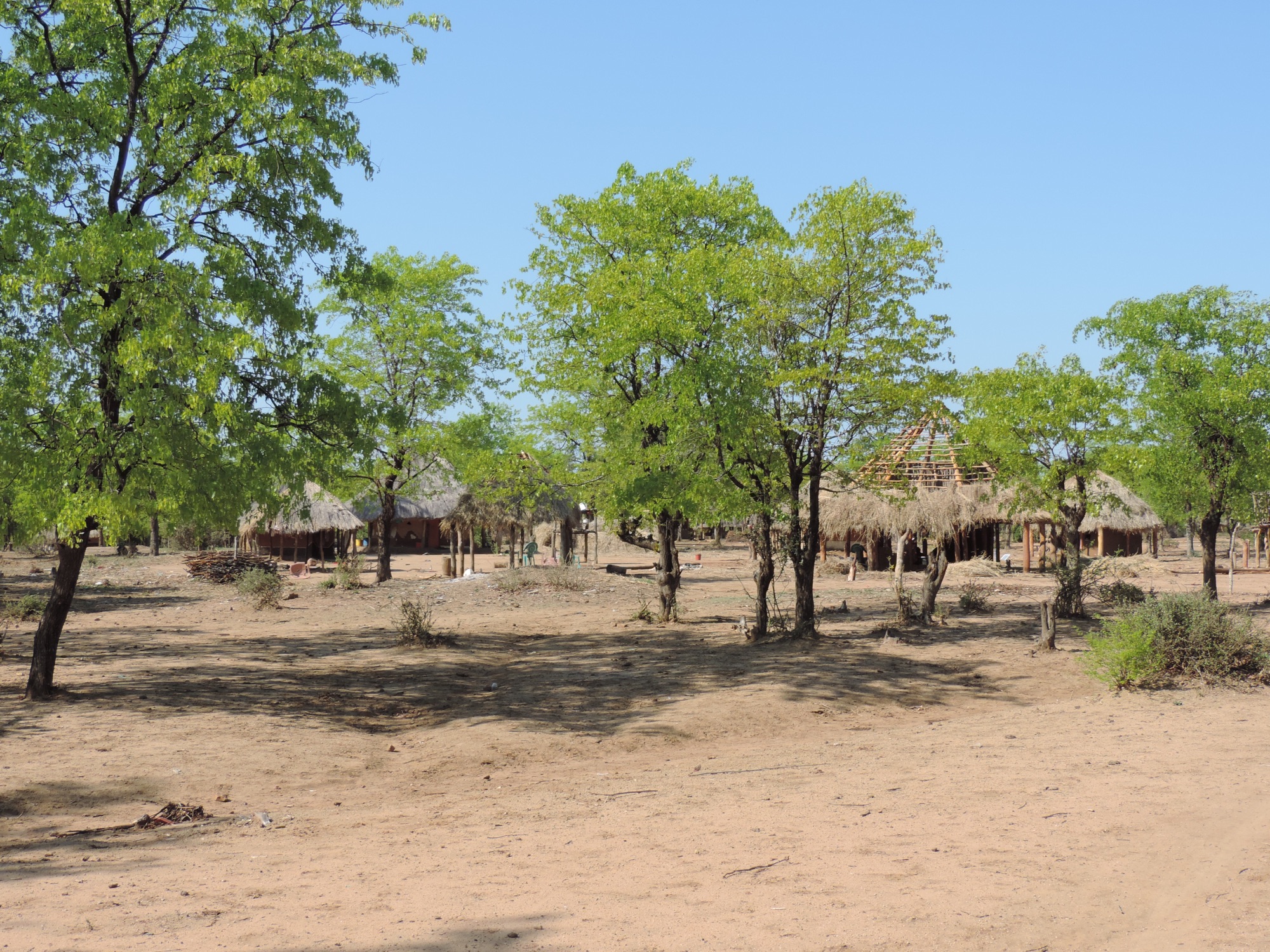 Afrikaans dorp met rondavels en bomen.