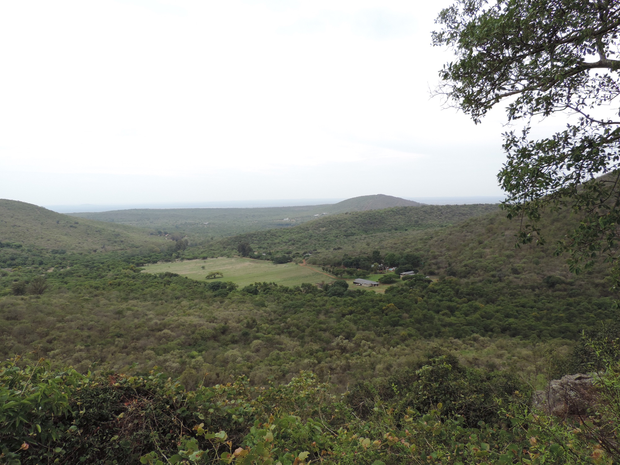 Panorama met groene heuvels. 