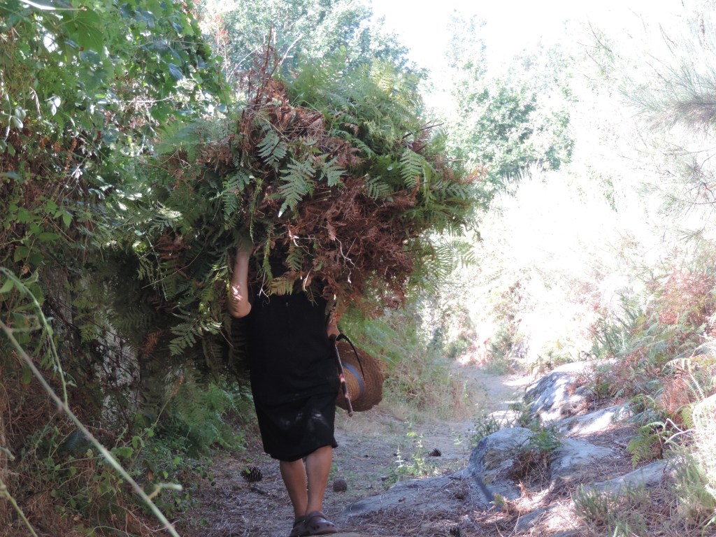Aldeia das Dez: oude vrouw met grote bos varens op het hoofd.