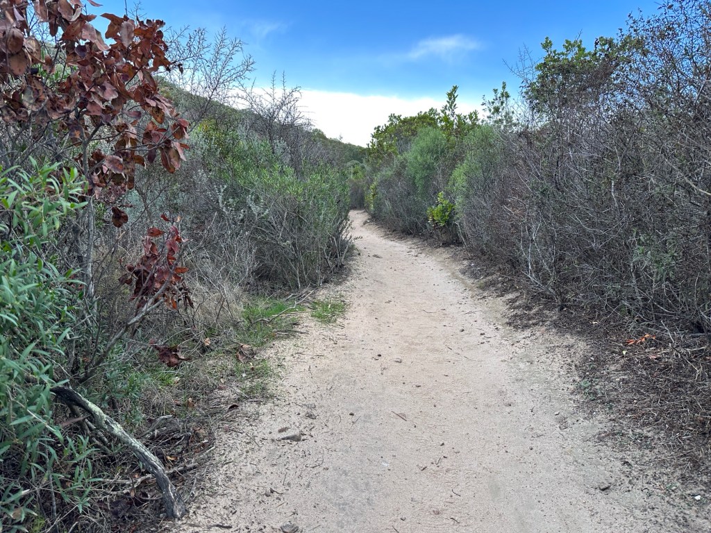 Zanderig pad tussen maquis.