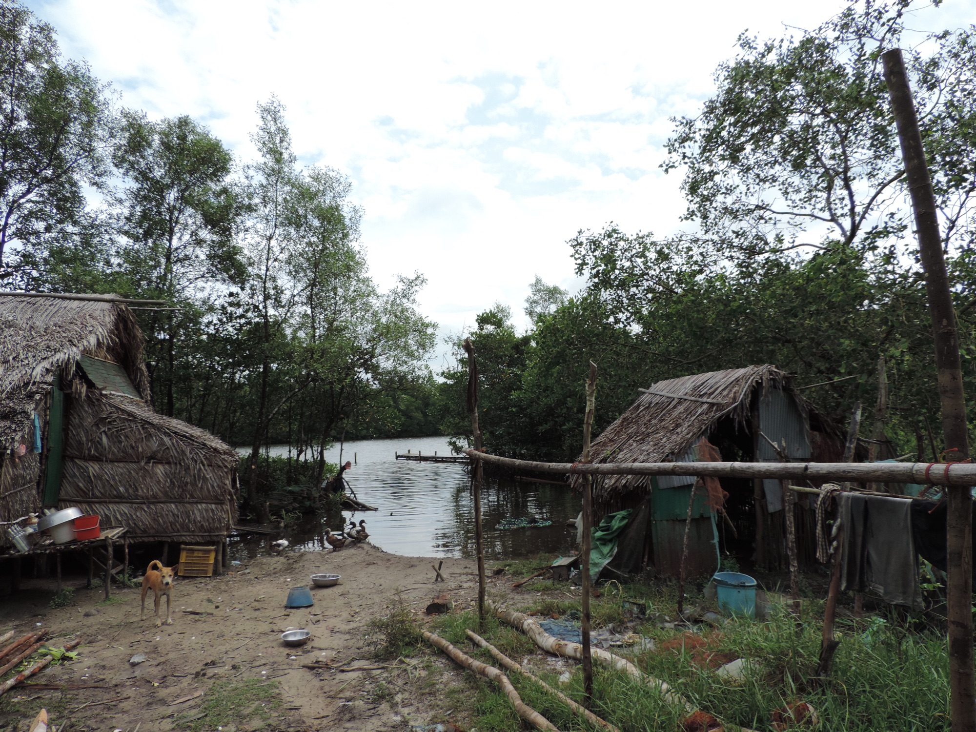 Twee paalwoningen, jungle, water.