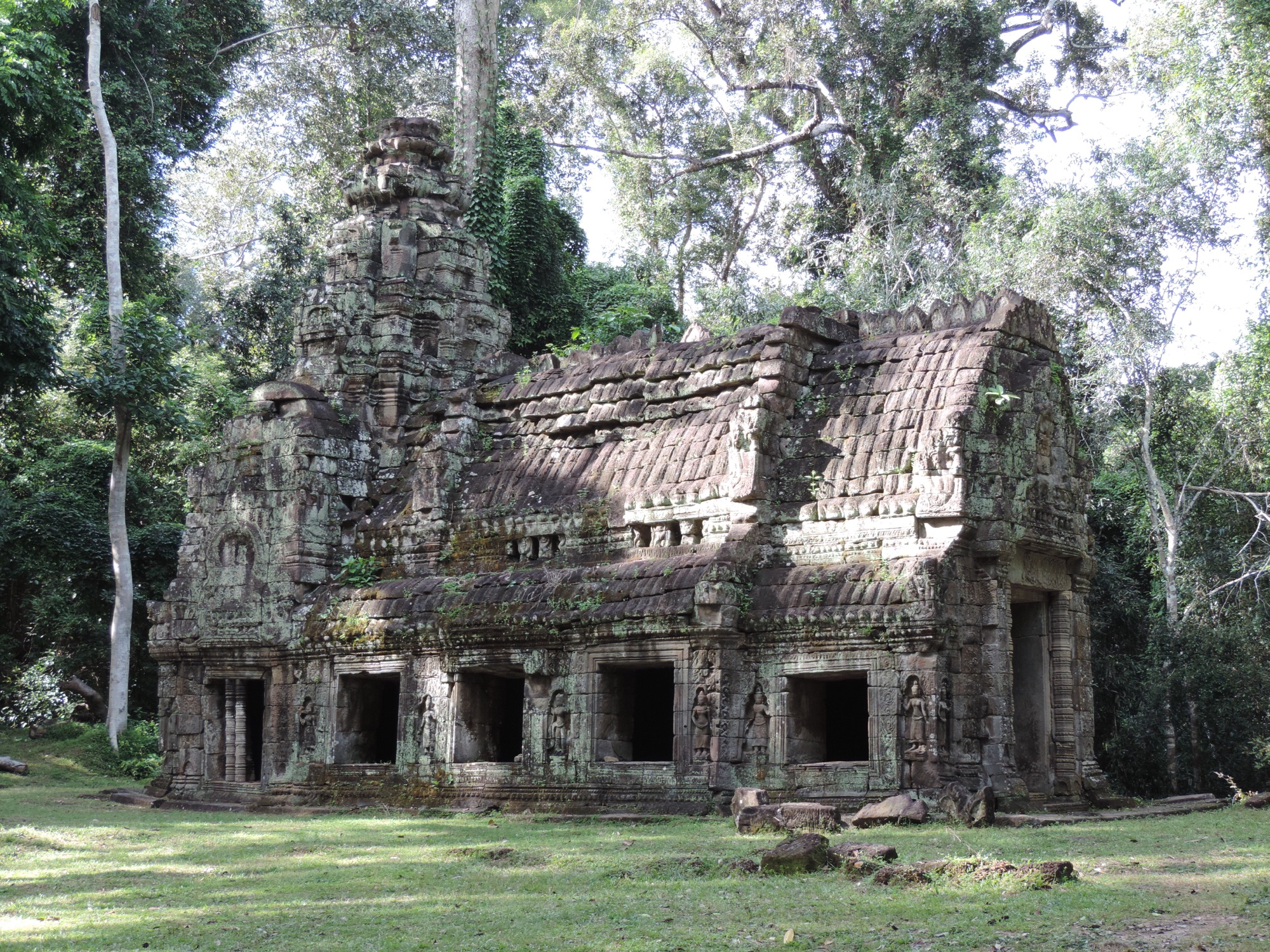 Overgroeide tempel in oerwoud.