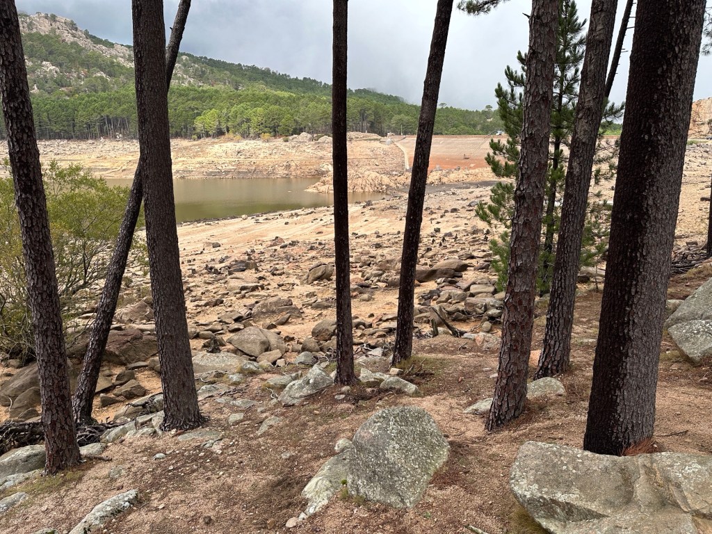 Droog stuwmeer van tussen bomen gezien. 