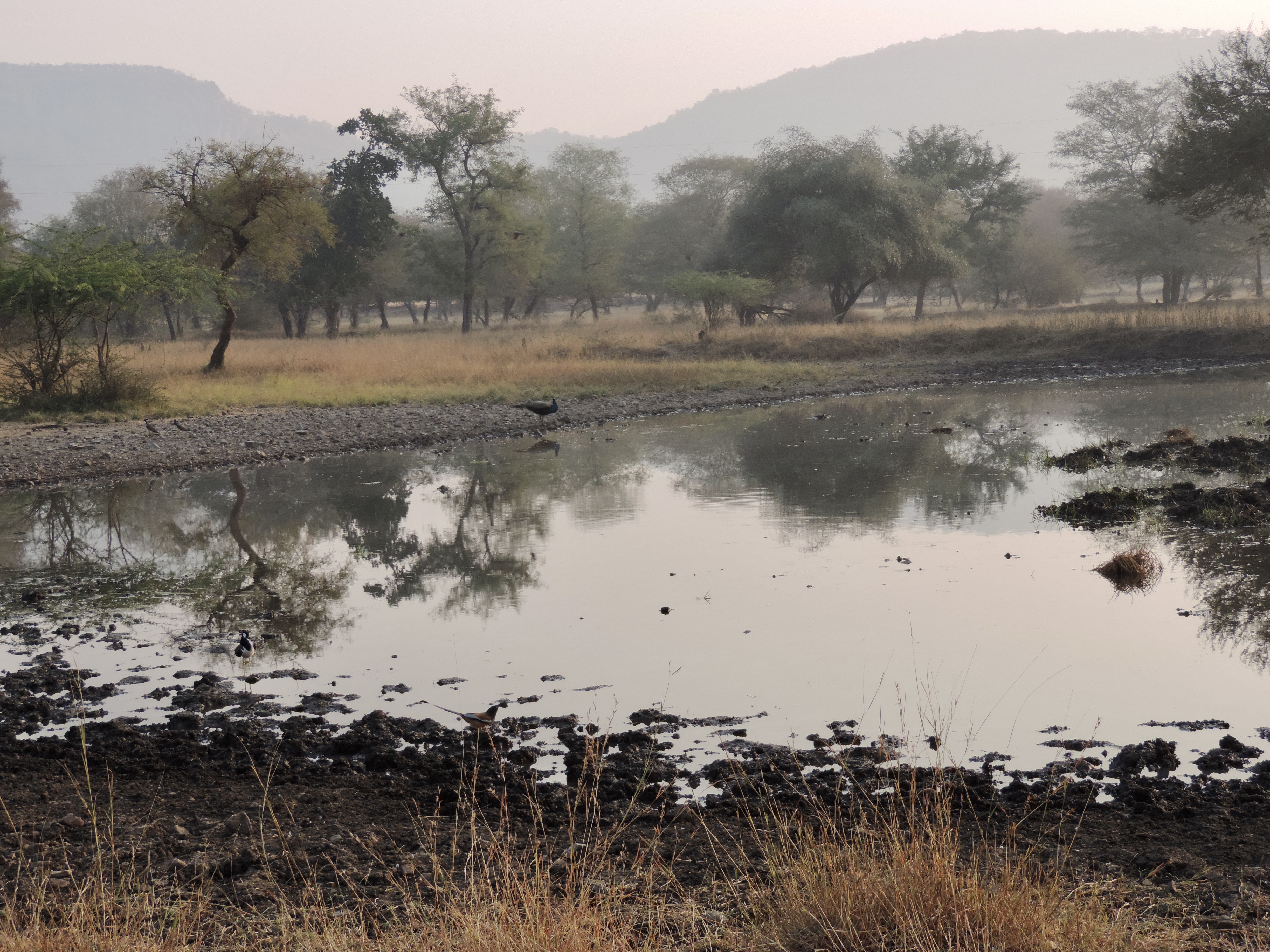 Poel tussen bomen en heuvels.