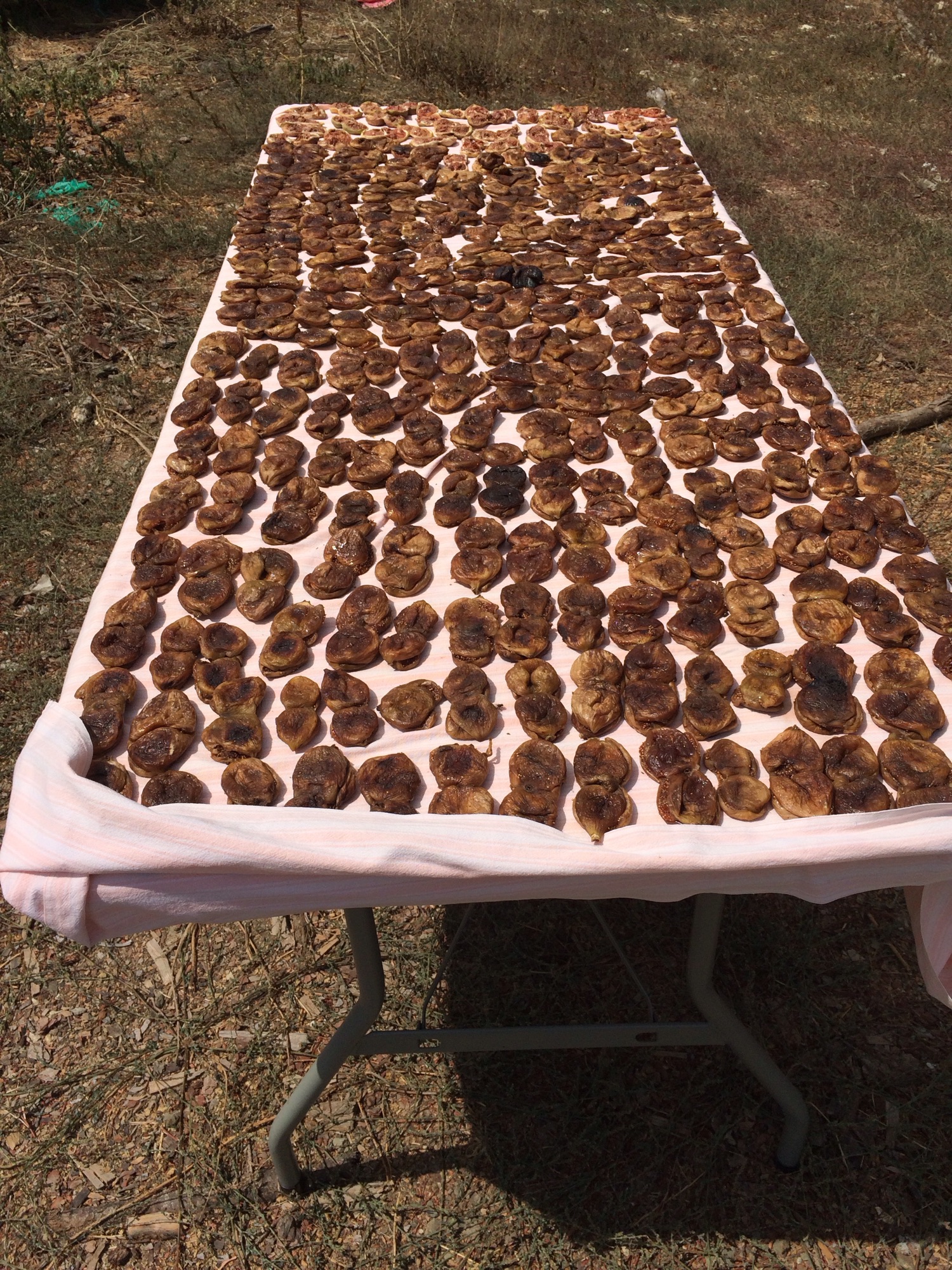 Drogende vijgen op tafel.