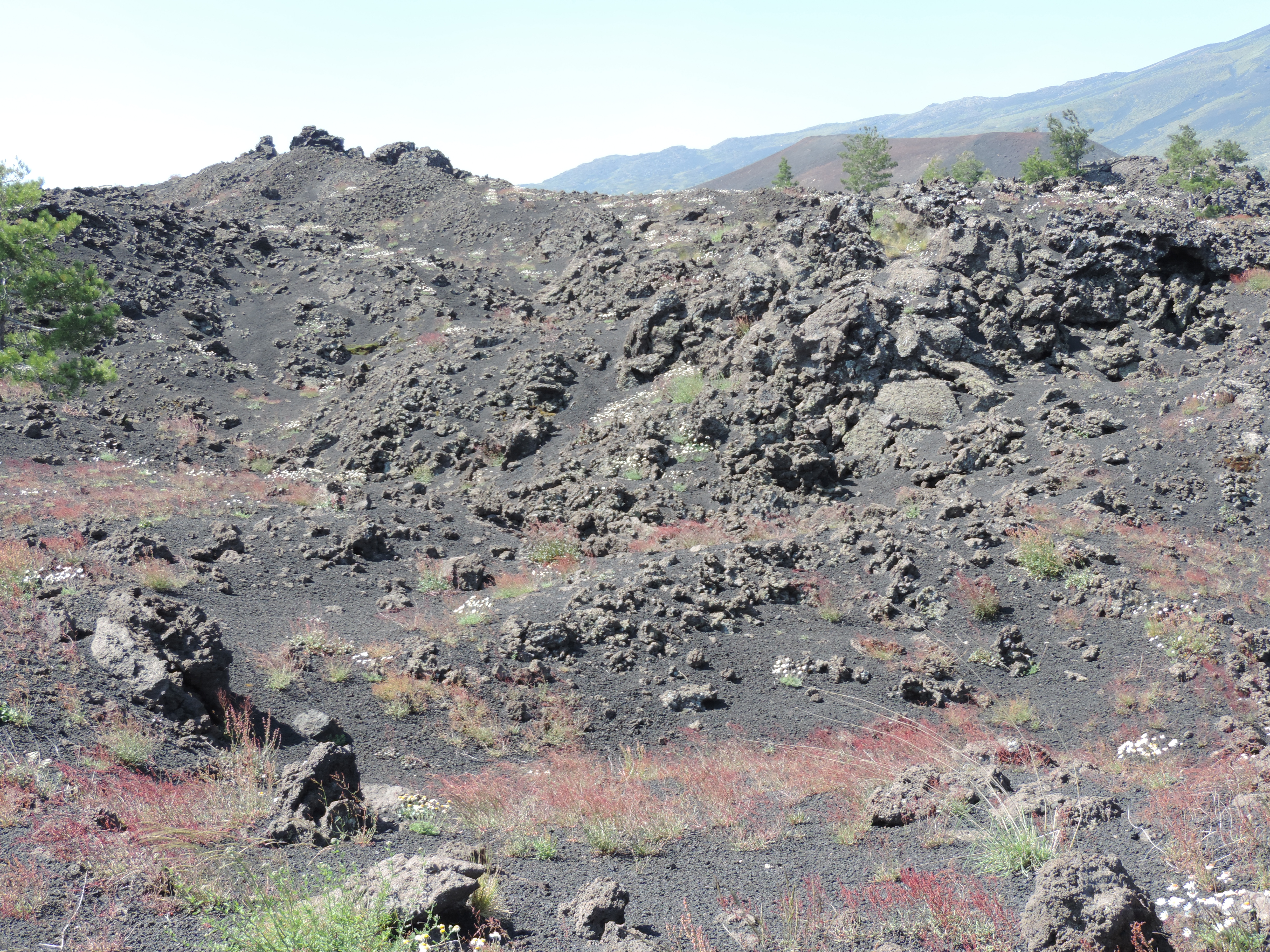 Lava-rotsen in verschillende kleuren.