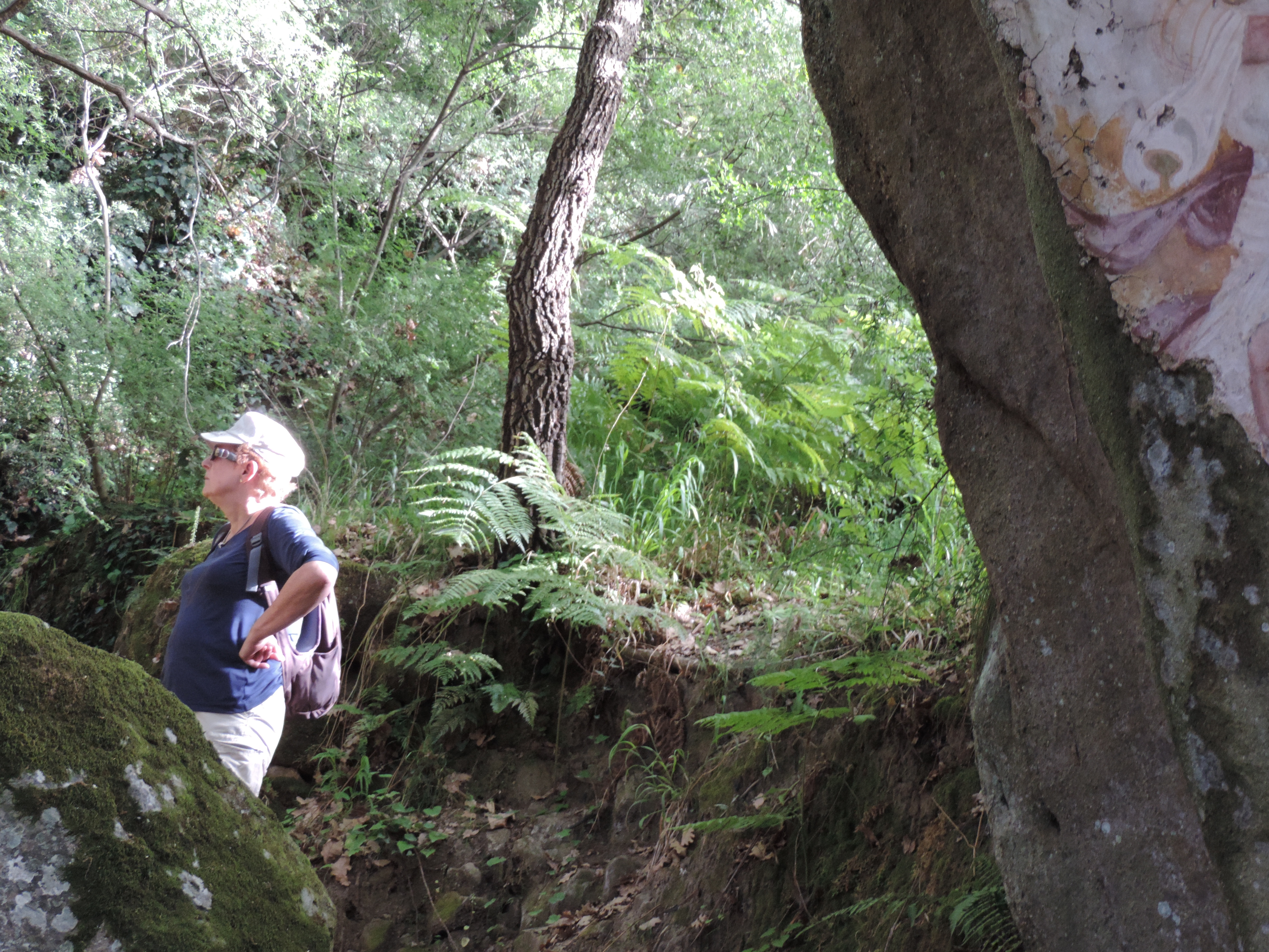 Sterk begroeid pad met rotsen en varens.