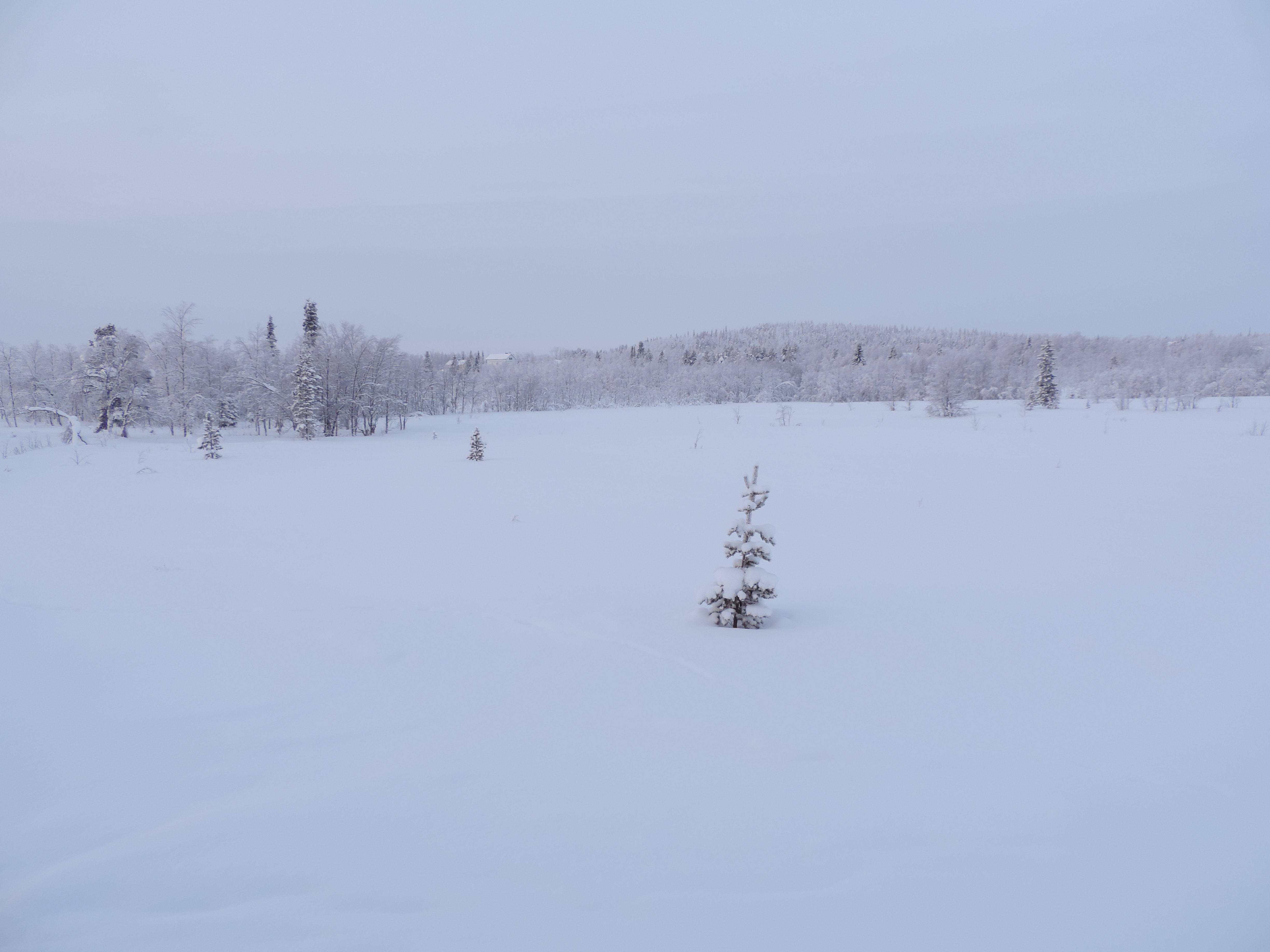 Verstild sneeuwlandschap.
