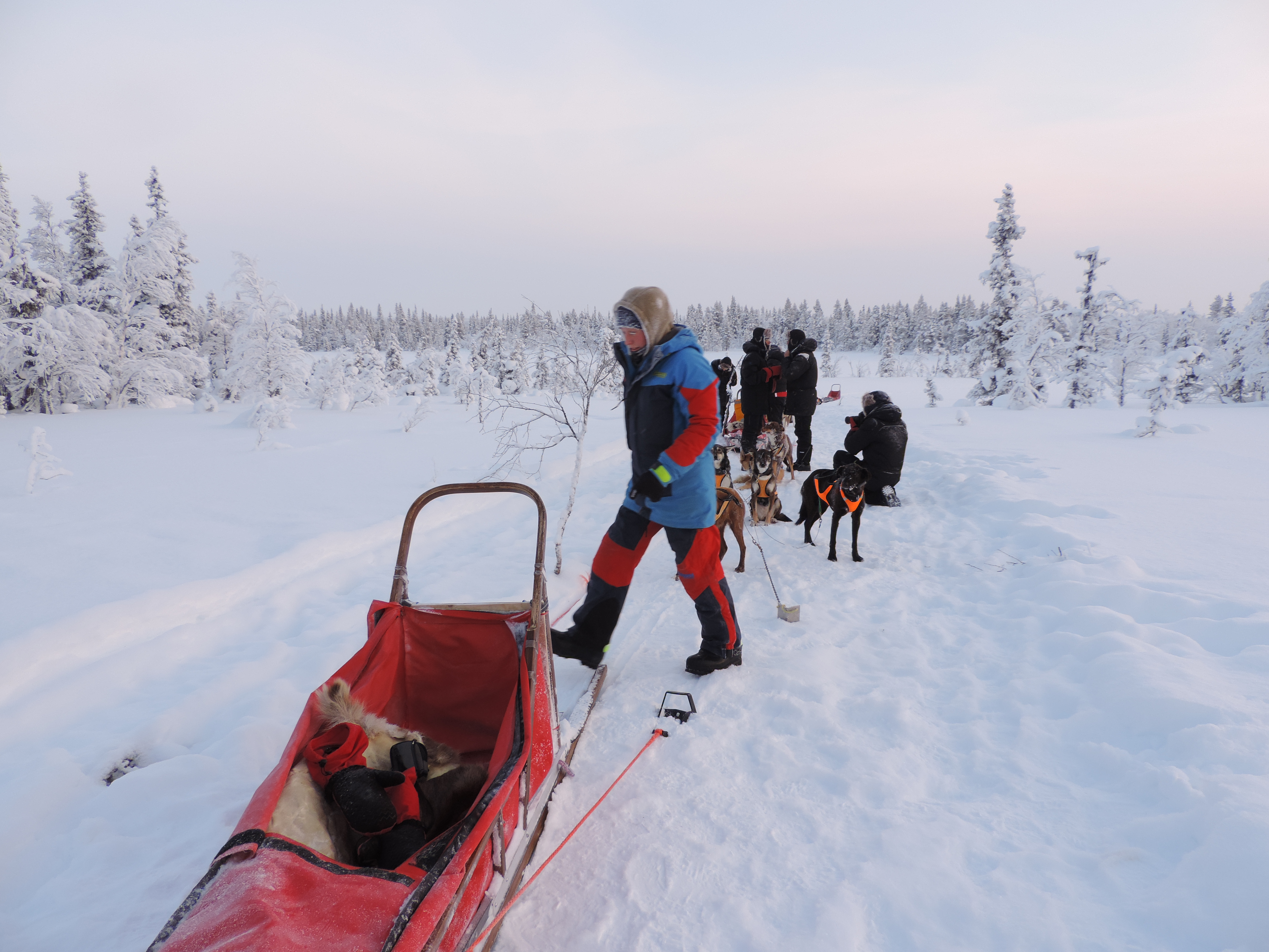 Rode slede in sneeuwlandschap.