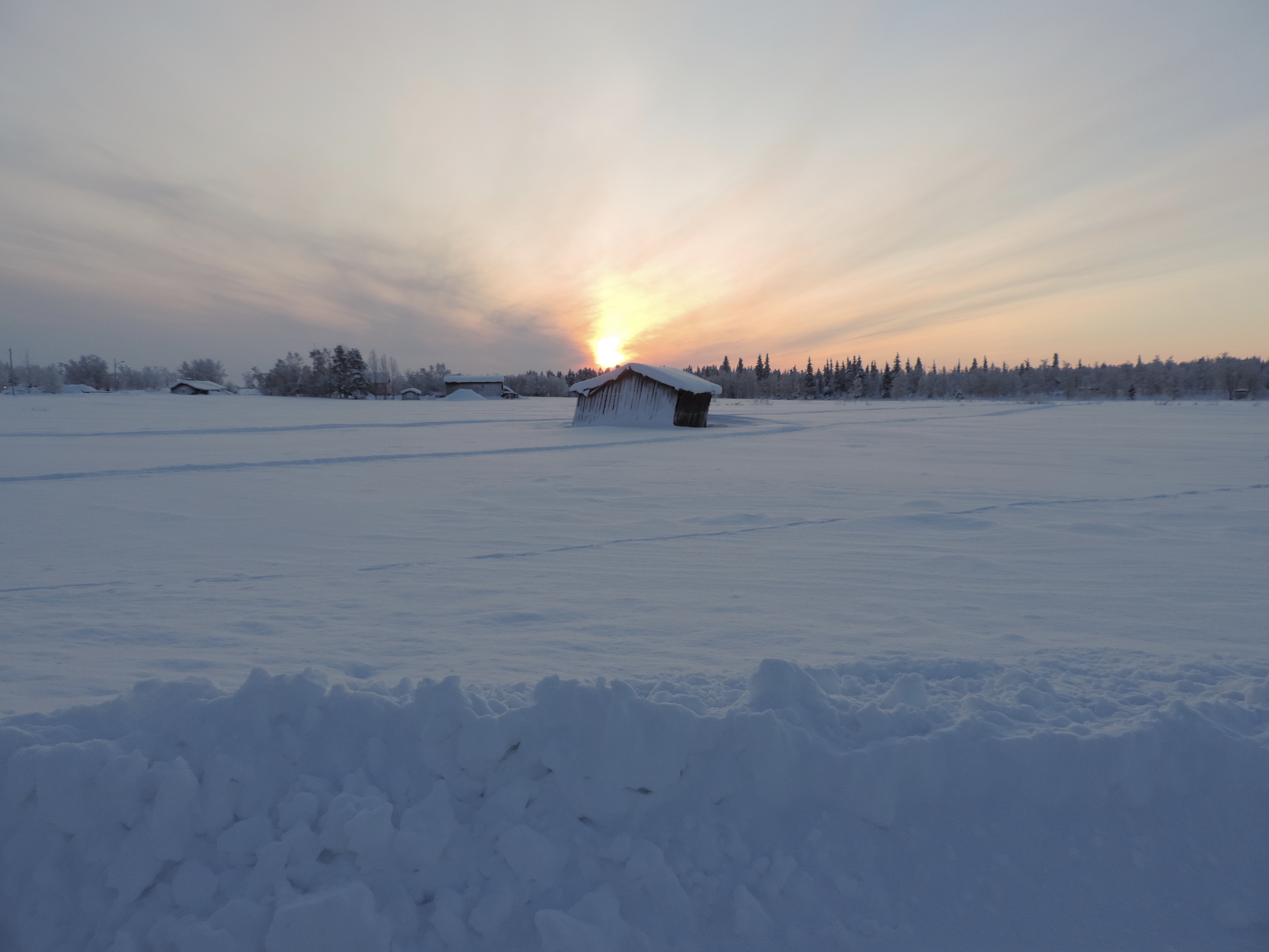 Ondergaande zoon in poollandschap.