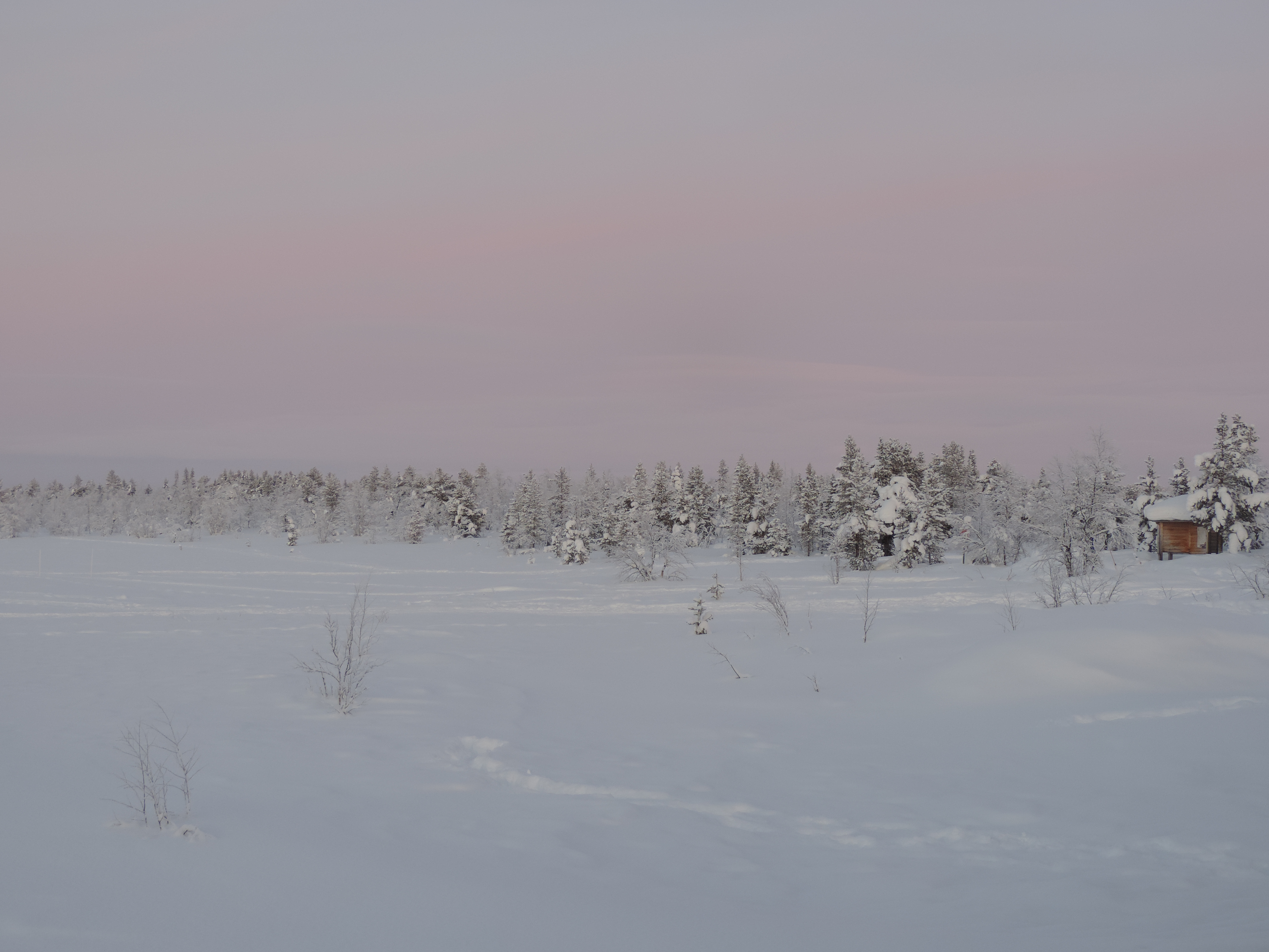 Roze gloed boven sneeuwlandschap.