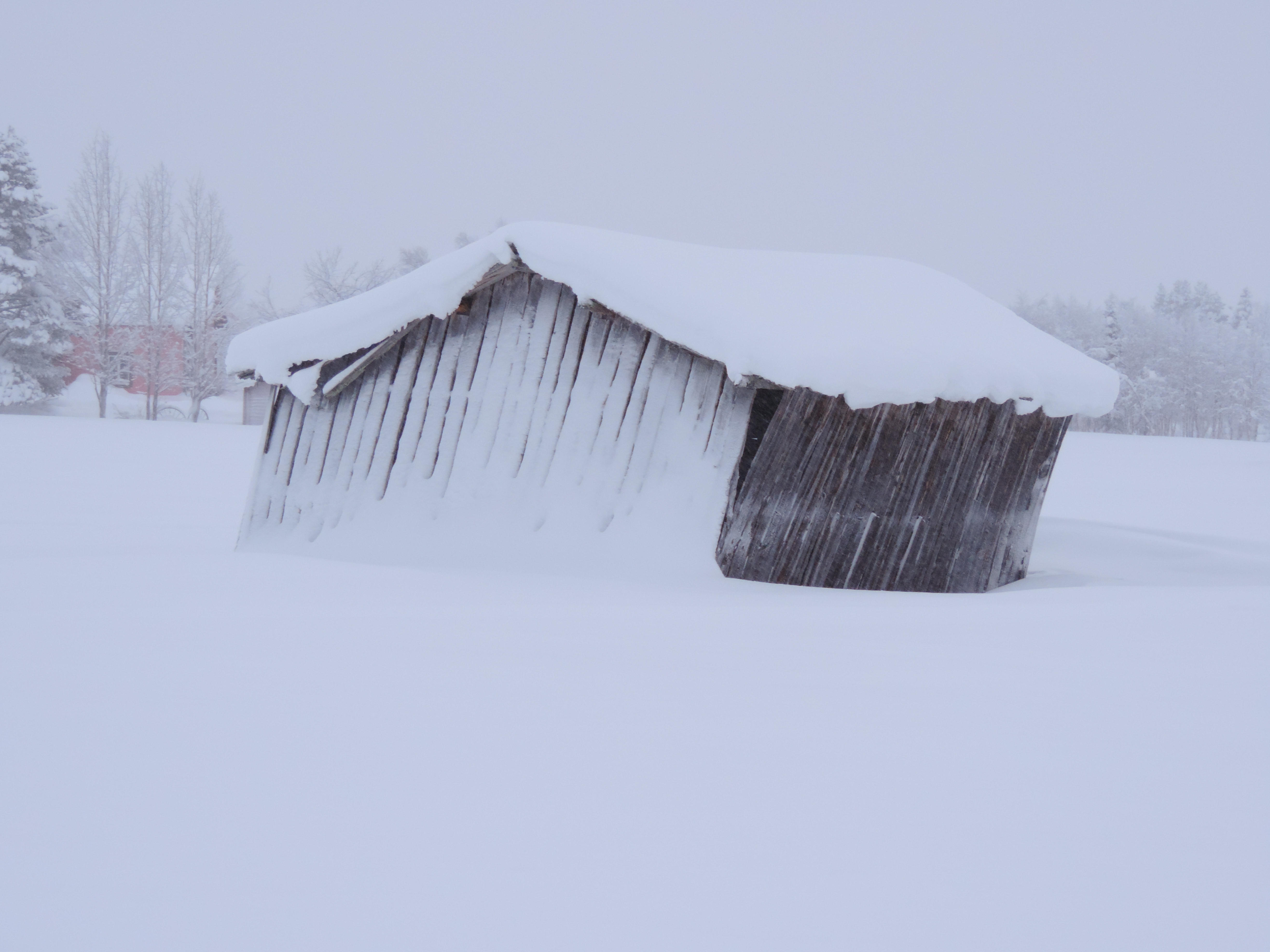 Schuur schuingezakt door de sneeuw.