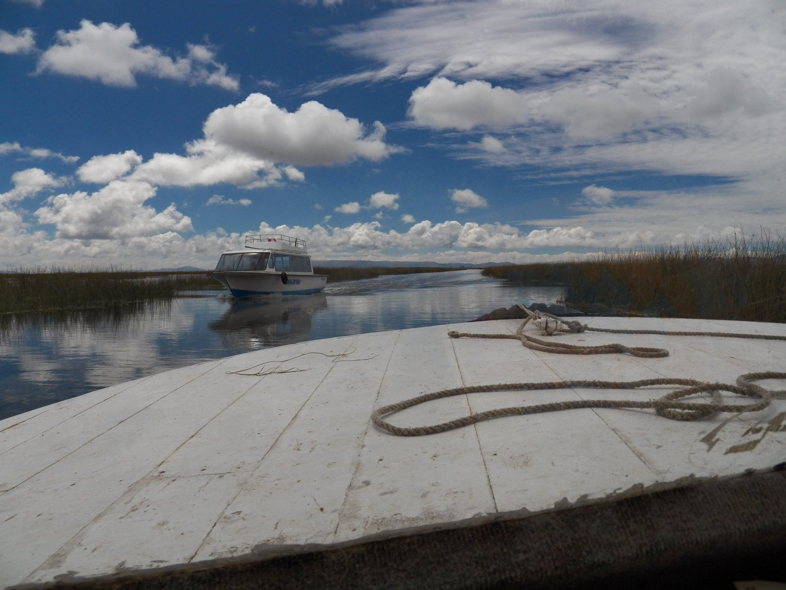 Waterweg met boot tussen riet.