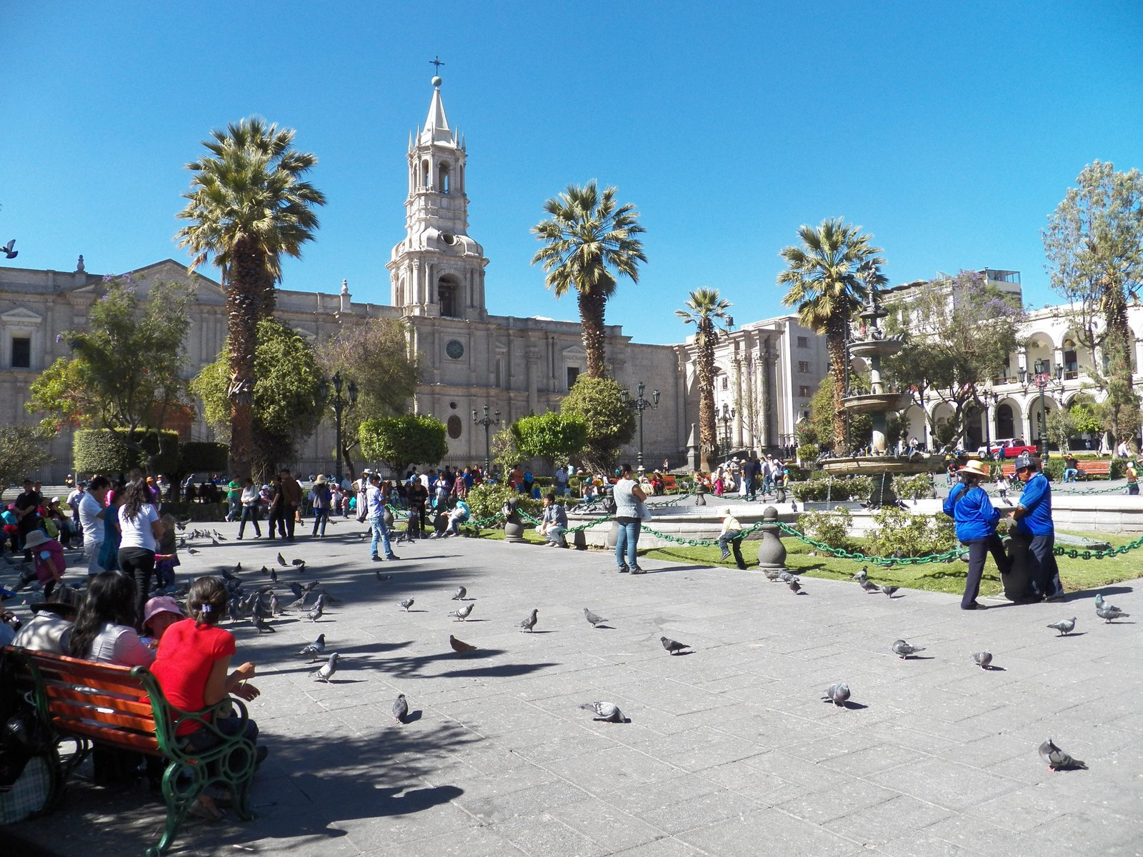 Centrale plein in Arequipa met palmbomen, duiven, mensen.