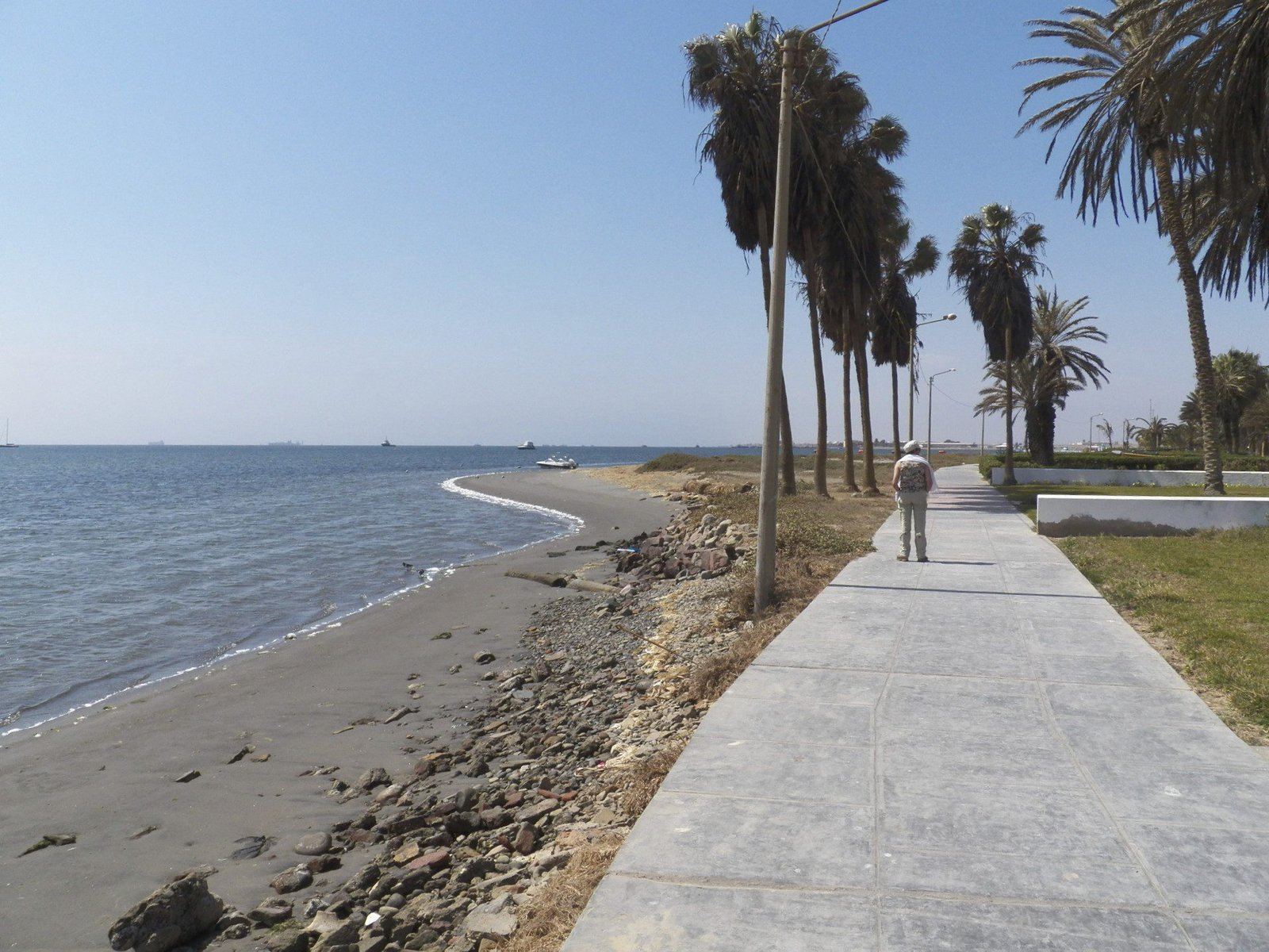 Verlaten promenade langs de zee met palmbomen.
