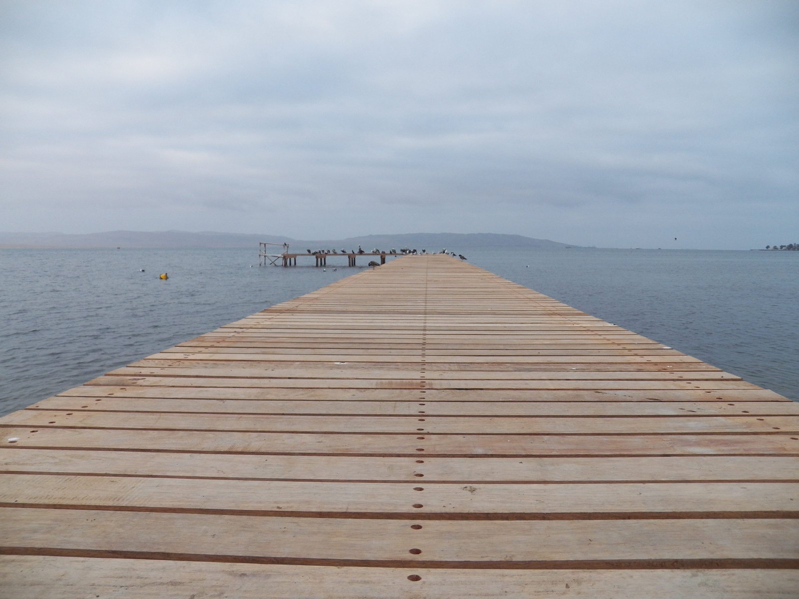 Lange houten pier met zeevogels op einde.