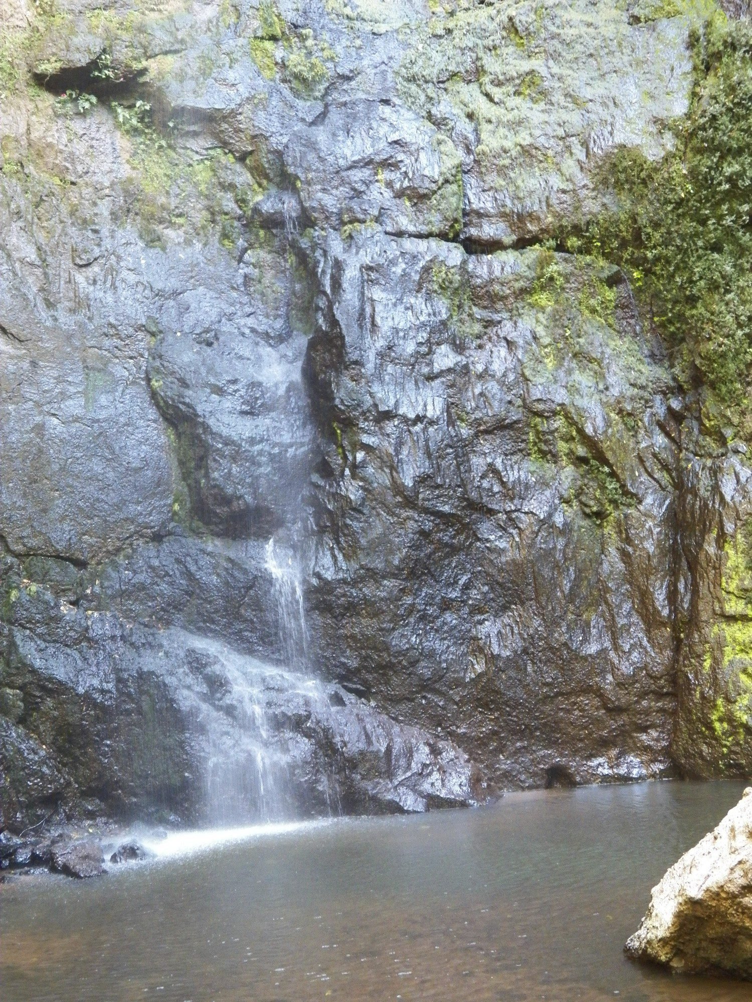 Waterval over zilverachtige rotsen in poel.