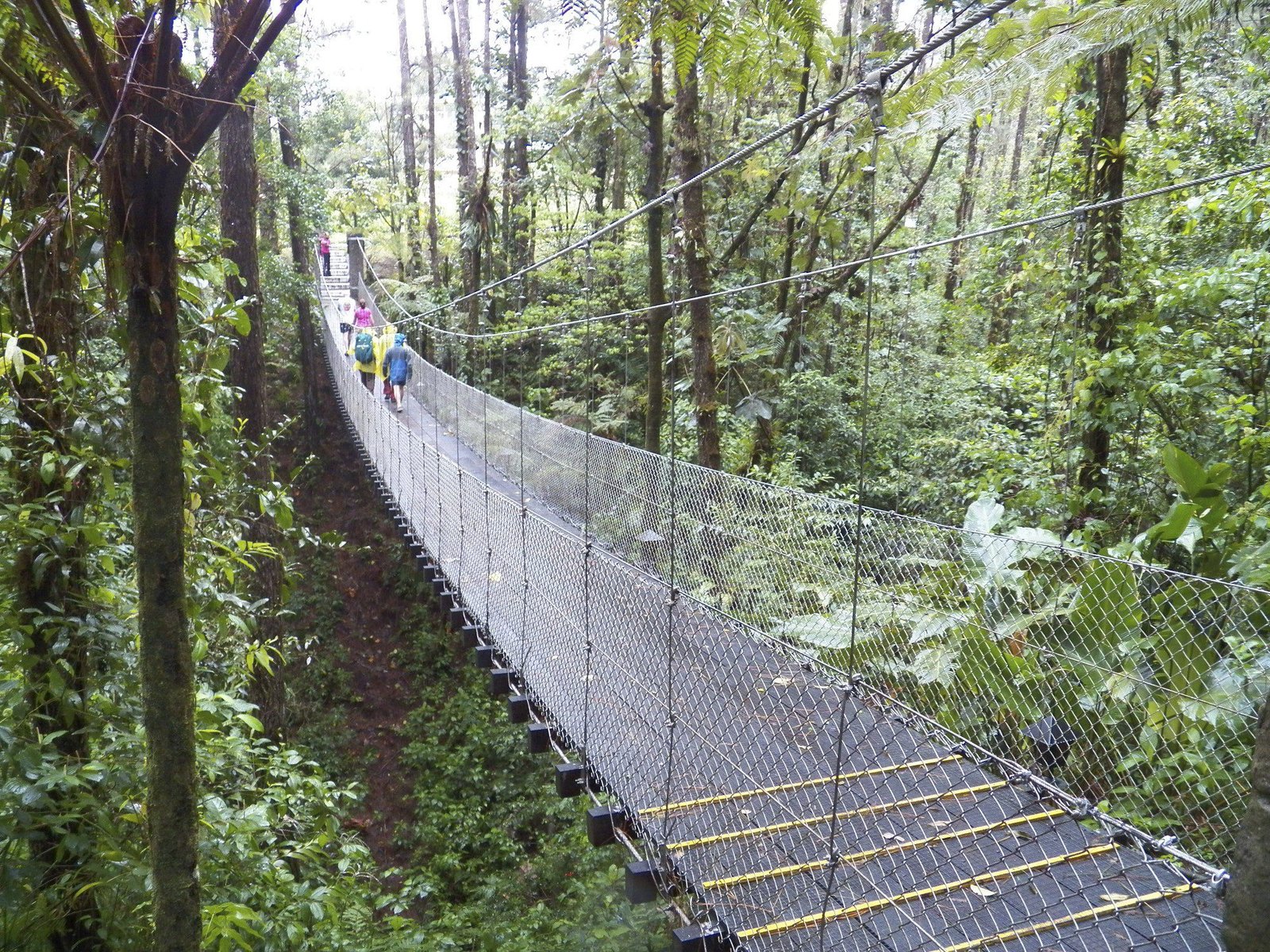 Metalen hangbrug in het oerwoud.